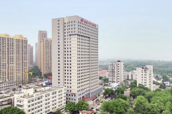 乐鱼APP构建智慧财务管理系统 加速电子凭证会计数据标准试点