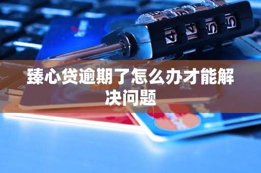 乐鱼APP臻心贷逾期了怎么办才能解决问题(图1)