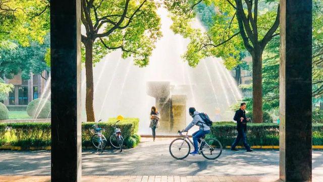 乐鱼APP上海财经大学排名是多少？这一专业全国TOP2越学越吃香！(图3)